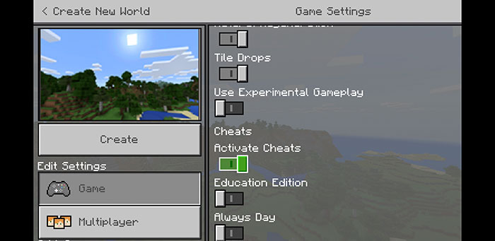 Tổng hợp các lệnh Minecraft - Cẩm nang toàn tập cho game thủ 2 Vào Game Settings và bật “Activate Cheats”